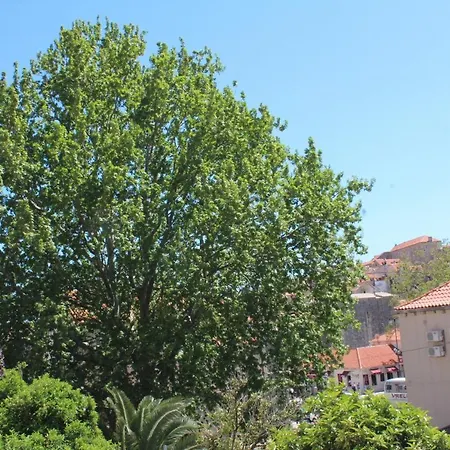 Gugily Guest house 3*